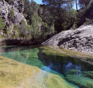 Embalse de Bosquet de Moixent