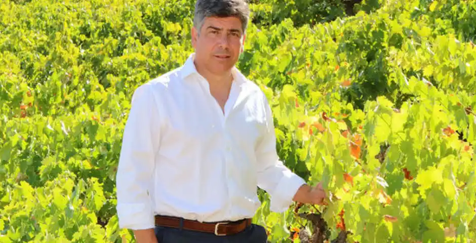 Rafael Llamas presidente de ARA