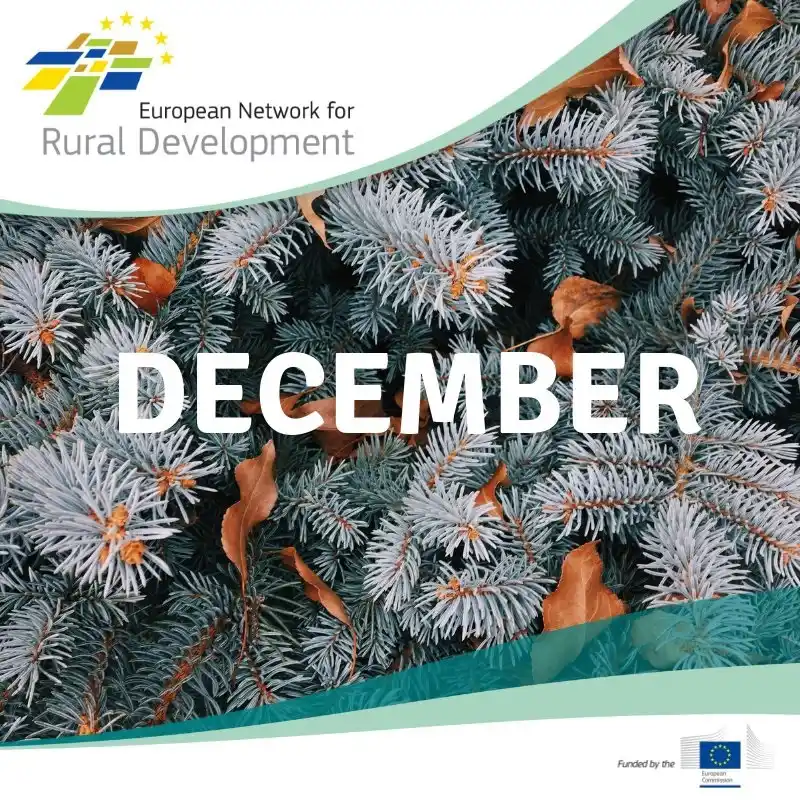 La ENRD publica su boletín de diciembre