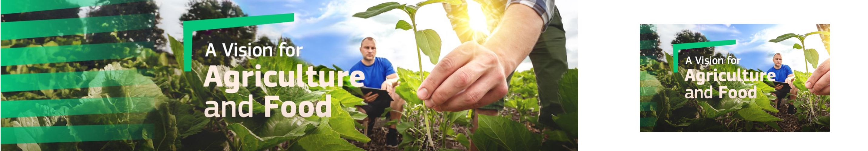 La Comisión Europea reforzará aún más LEADER: presentada la Visión para la Agricultura y la Alimentación